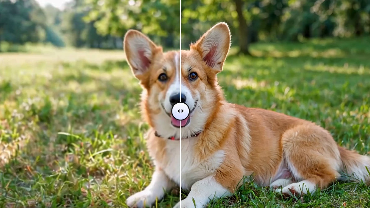 flashvsr-upscaling-comparison-dog.jpg flashvsr-upscaling-comparison-dog.jpg